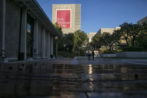 USC neuroscientist faces scrutiny after data allegations .